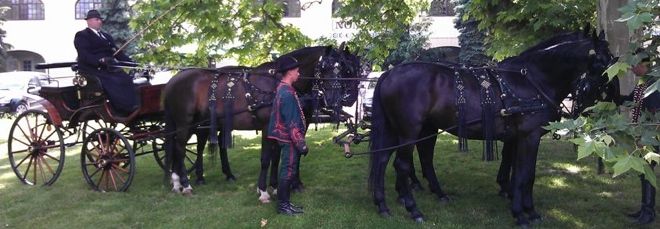 mitfozzek.hu bemutatót tartottunk a Hotel Noniusban!
